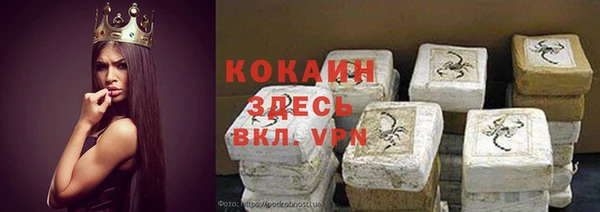 гашиш Богданович