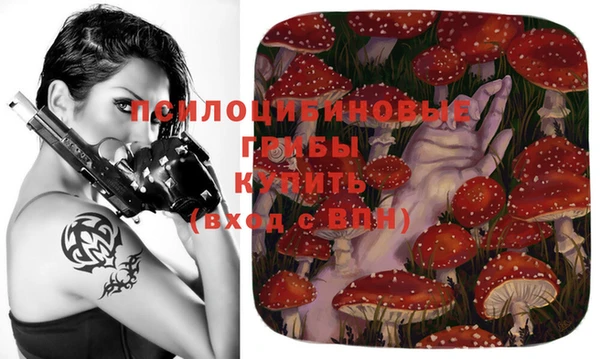 эйфоретик Богородицк