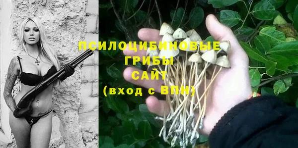 наркотики Богородск