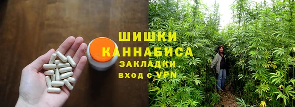 гашиш Богданович