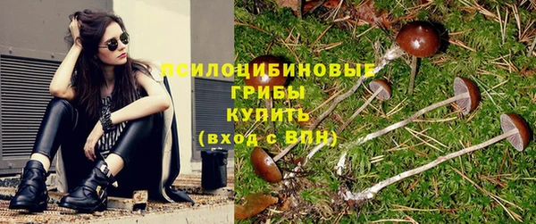 гашиш Богданович