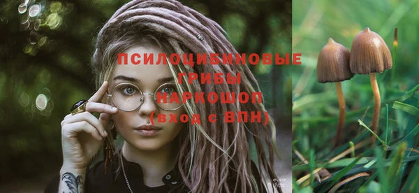 наркотики Богородск